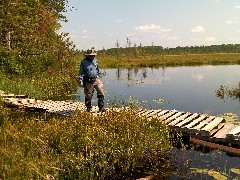 Dan Dorrough; bridge; IAT; Langlade County Arboretum, WI